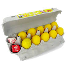 Juego físico con huevos de goma para equilibrio corporal